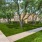 group of trees outside a building