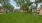 large area of green grass and picnic table